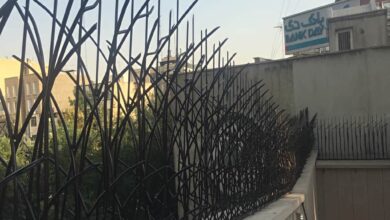 13 مدل حفاظ نیزار دیوار باغ