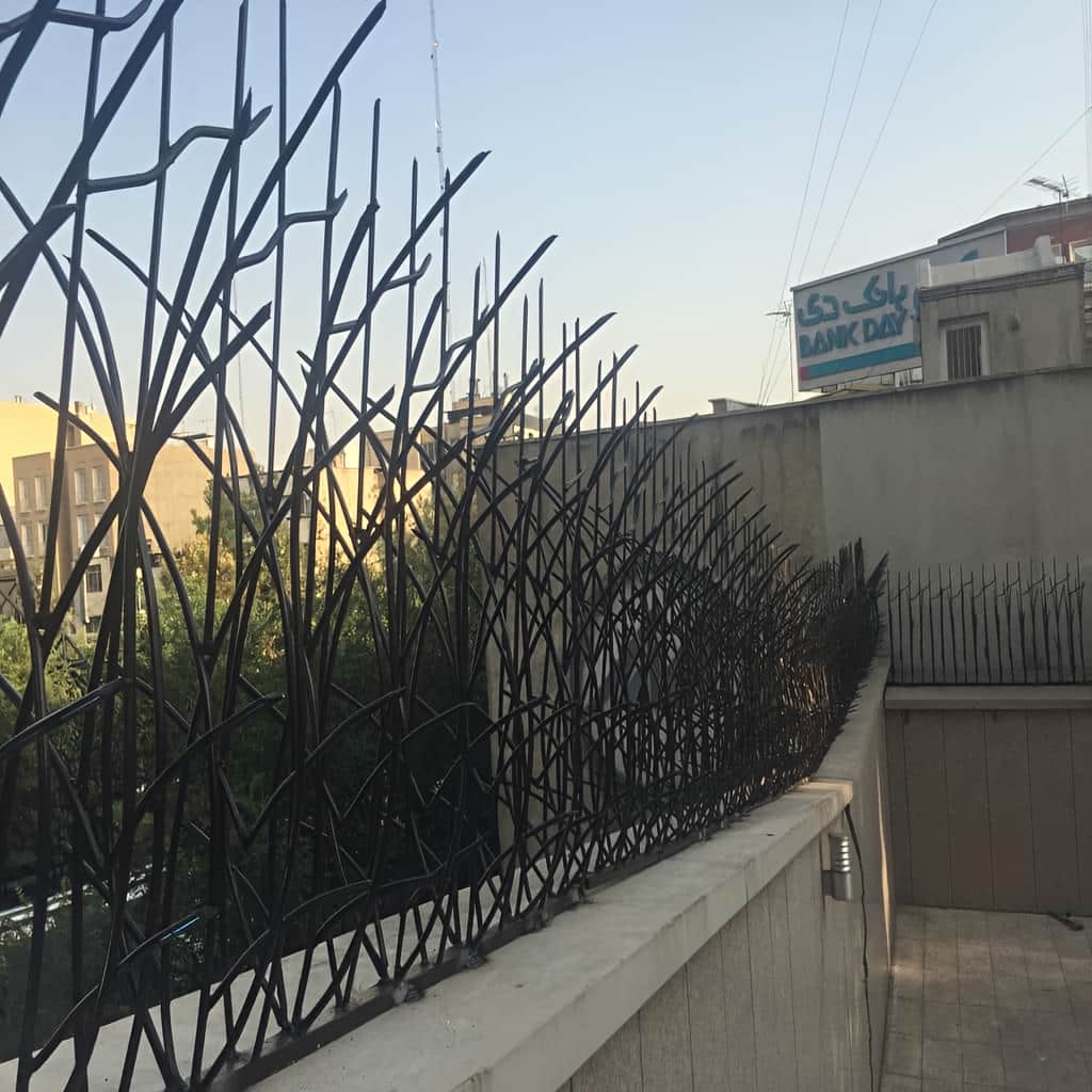 13 مدل حفاظ نیزار دیوار باغ