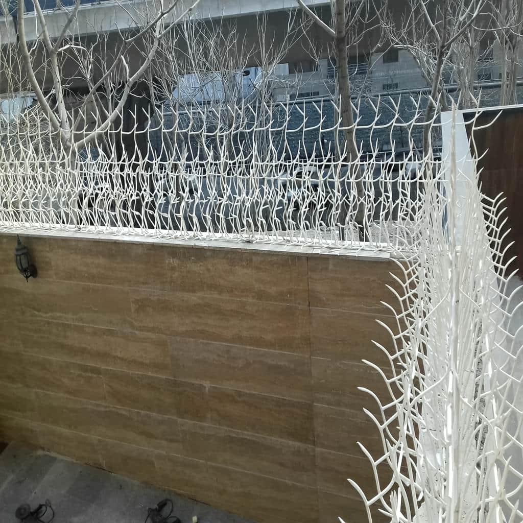حفاظ بوته‌ای آماده اجرای تخصصی پروژه