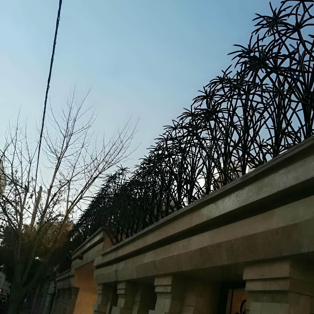 حفاظ نخل مرداب آماده نصب تخصصی