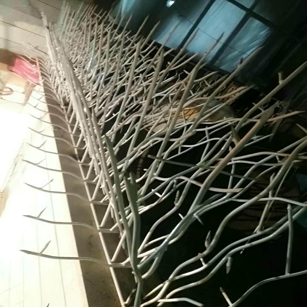 حفاظ شاخ گوزنی طرح f آماده نصب تخصصی