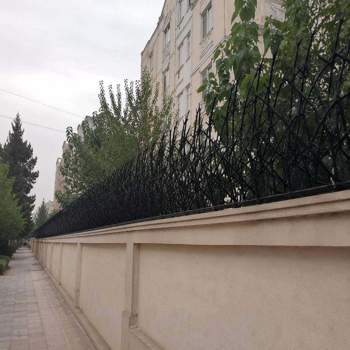 مرکز عرضه حفاظ شاخ گوزنی با قیمت مناسب برای انتخاب متریال پروژه