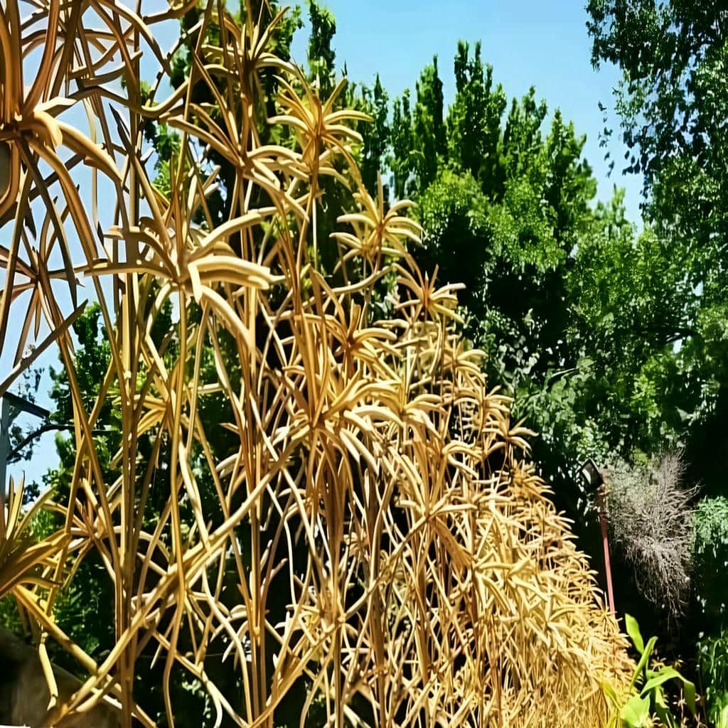 مرکز عرضه تخصصی حفاظ نخل مرداب برای سفارش اینترنتی و ارسال به شهرستان