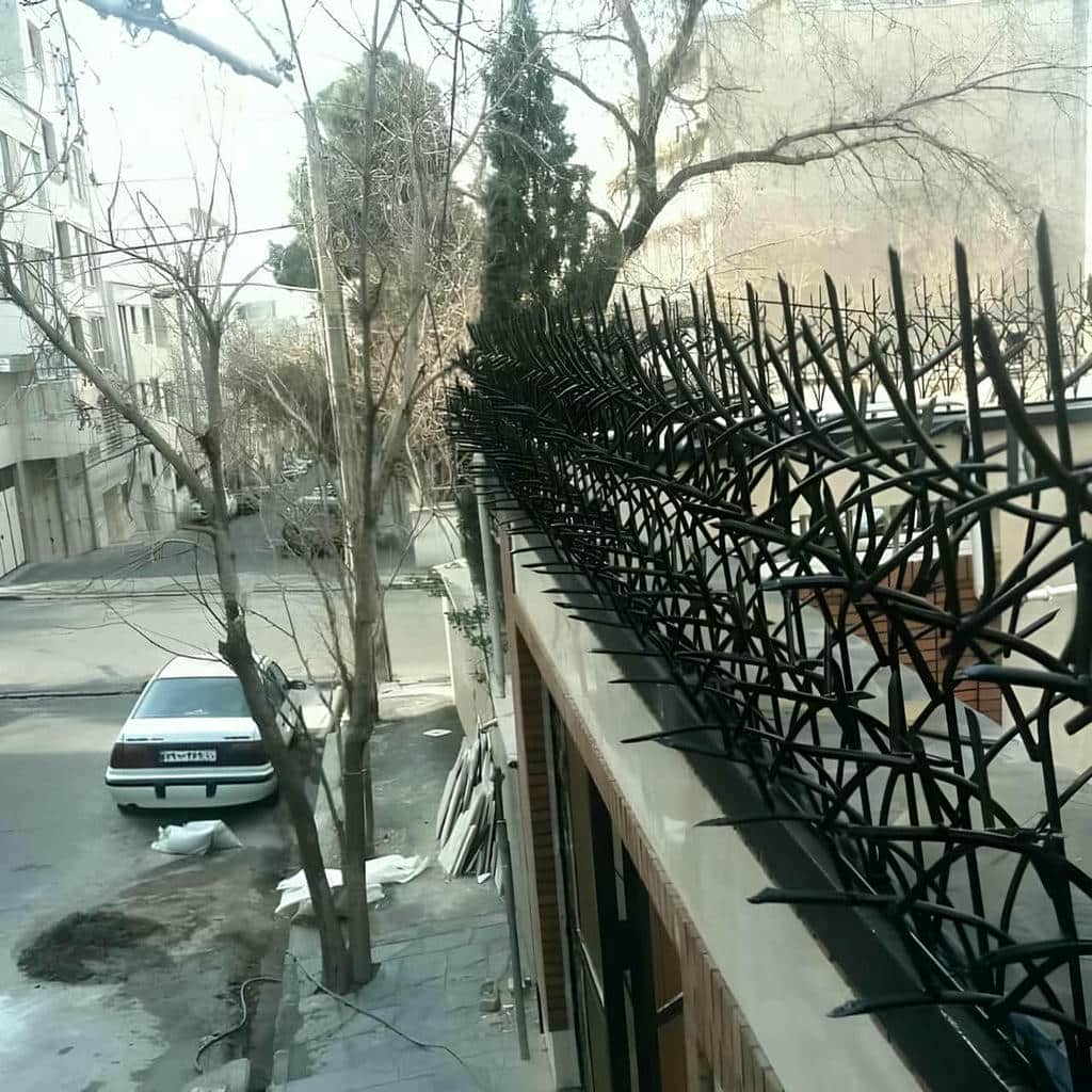 حفاظ دیوار با شاخه های متراکم روی حیاط مسکونی