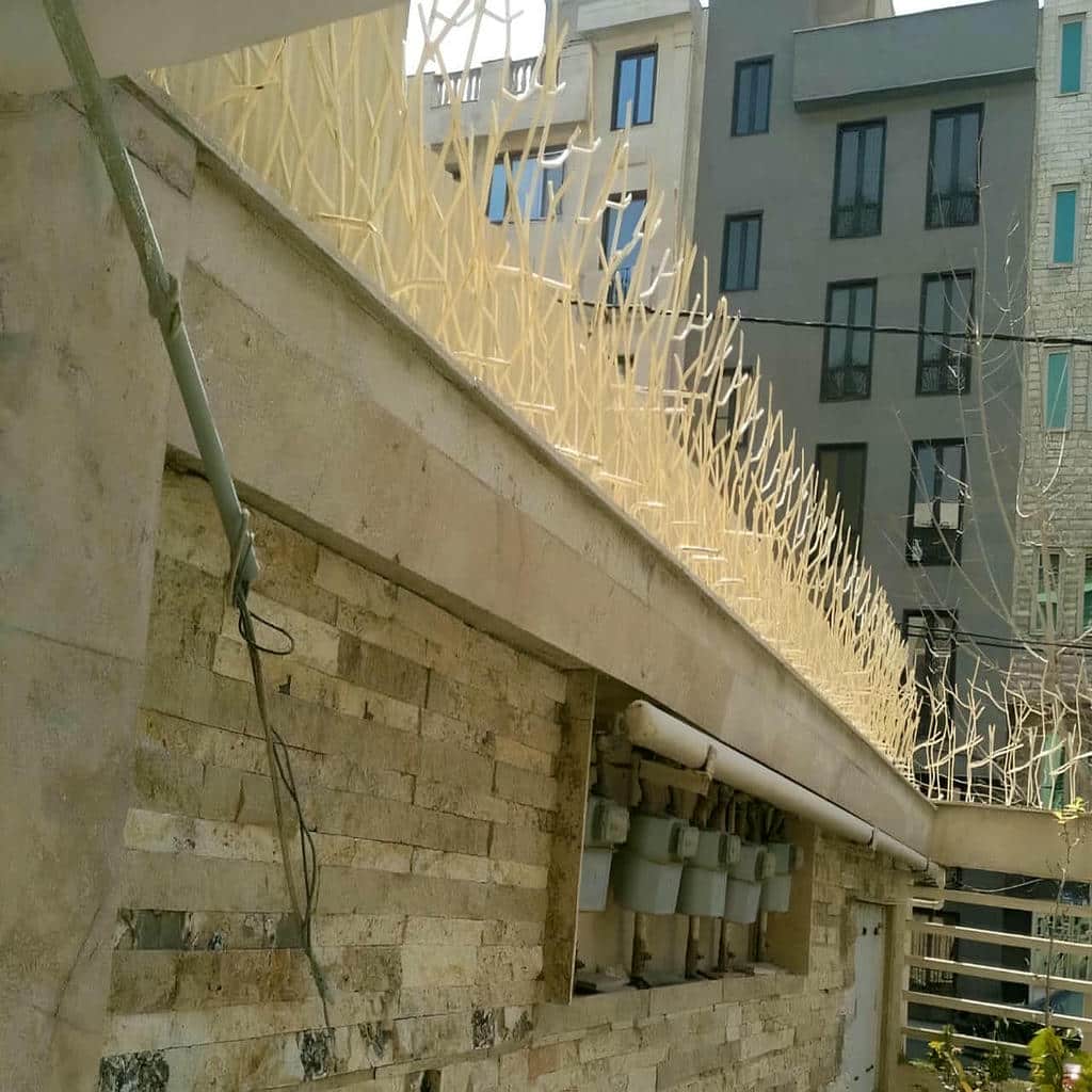 حفاظ دیوار با پوشش مشکی در محوطه مسکونی حفاظ دیوار با پوشش مشکی در محوطه مسکونی