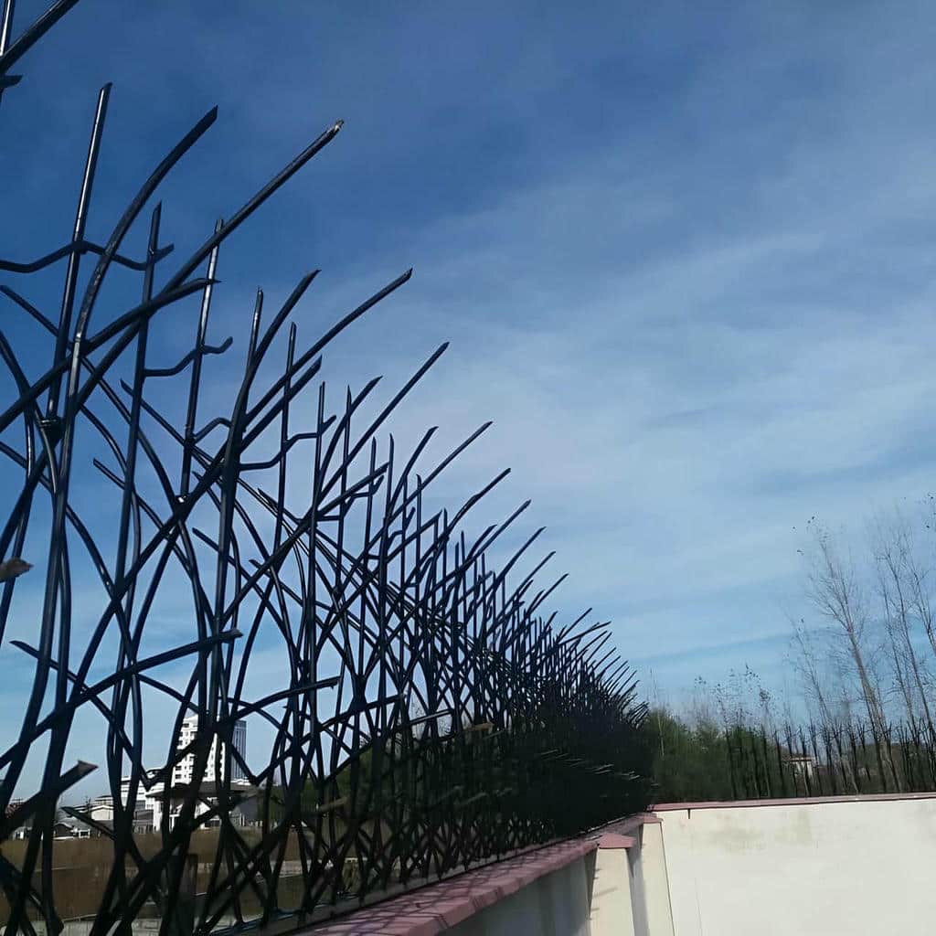 حفاظ دیوار سرنیزه ای با رنگ مشکی در همدان
