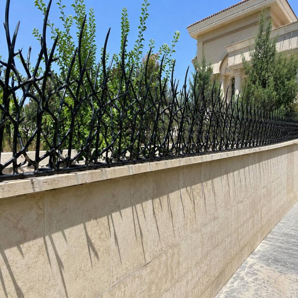 حفاظ دیوار سرنیزه ای کنار ورودی باغ در استان سیستان و بلوچستان