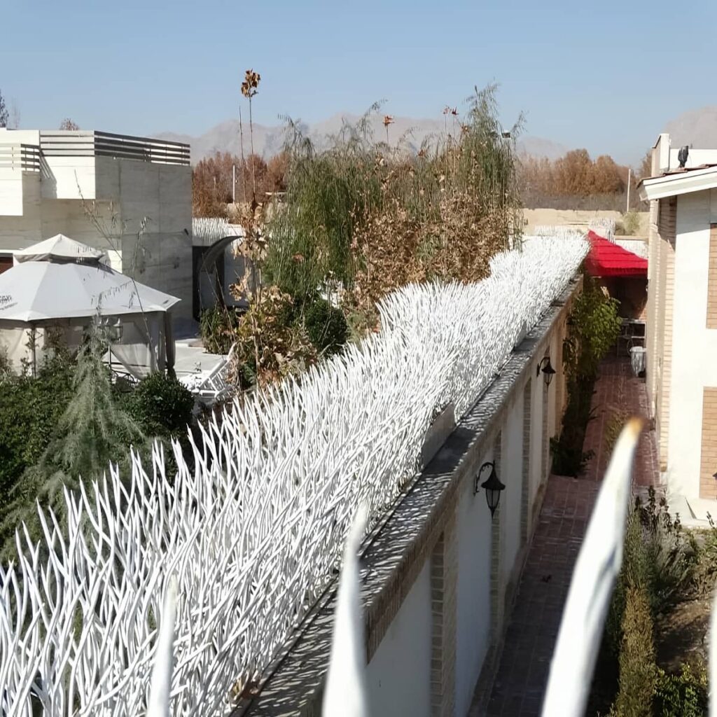 حفاظ دیوار شاخ گوزنی با پوشش تیره در استان سیستان و بلوچستان