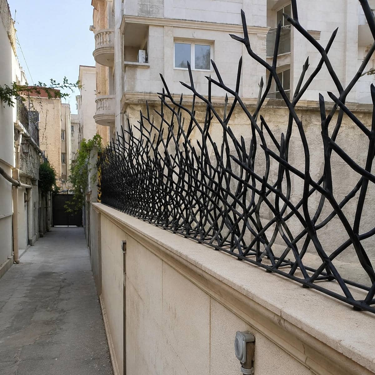 حفاظ دیوار شاخ گوزنی مشکی در اردبیل