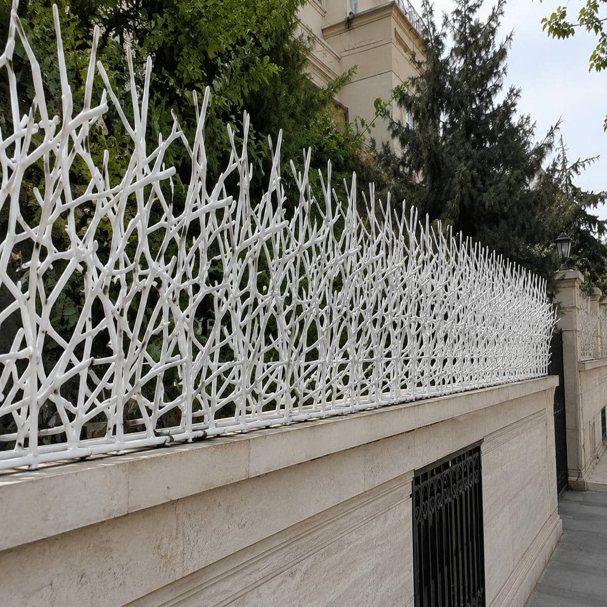حفاظ دیوار شاخ گوزنی مشکی در گرگان