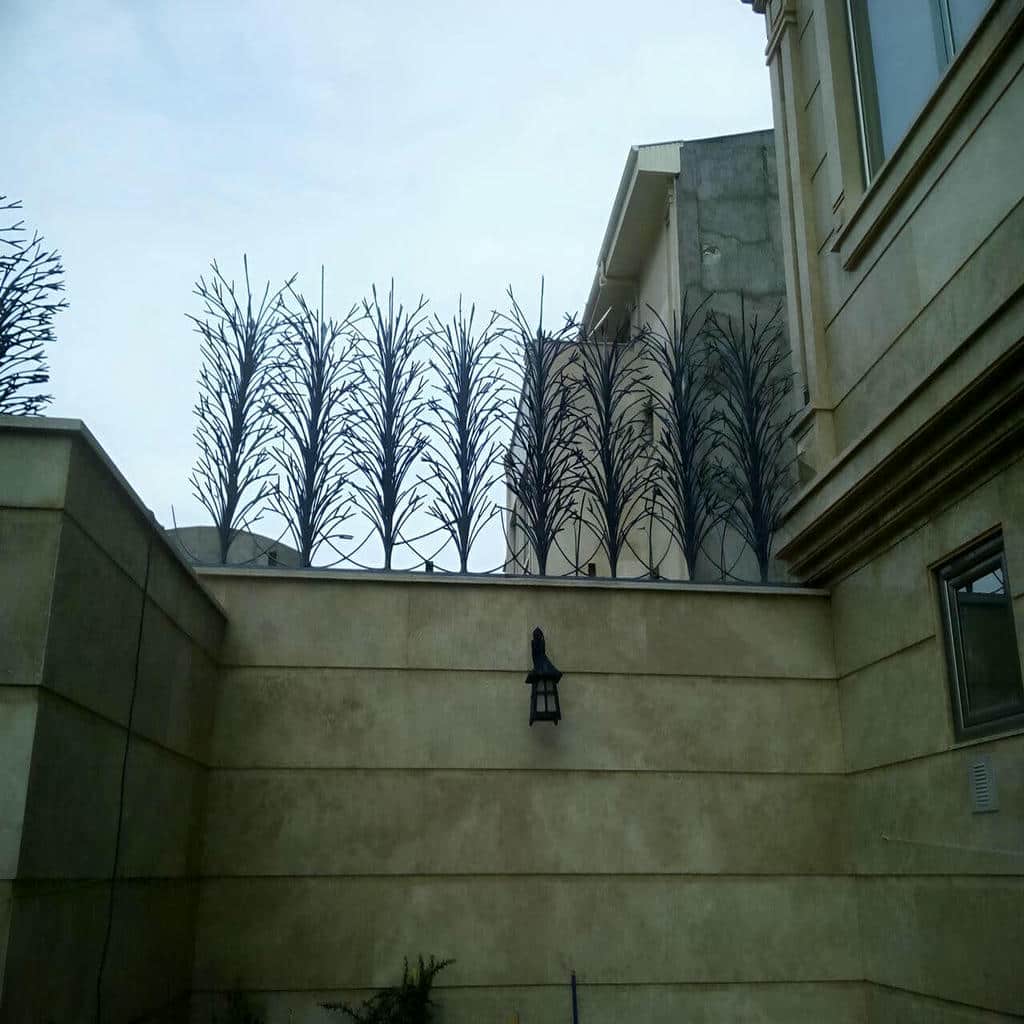 حفاظ دیوار شاخ گوزنی مشکی روی دیوار آجری اهواز
