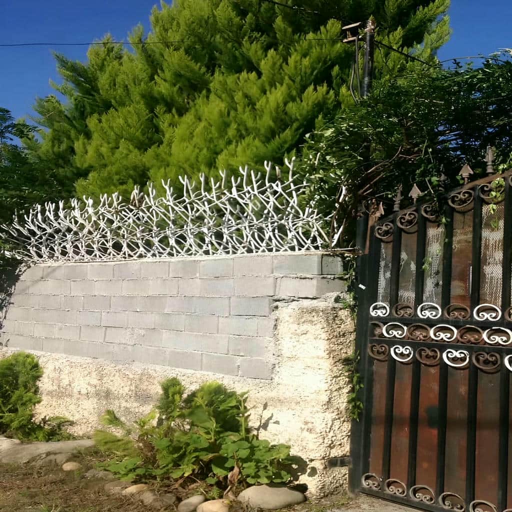 حفاظ دیوار شاخ گوزنی مشکی روی دیوار بلند زنجان