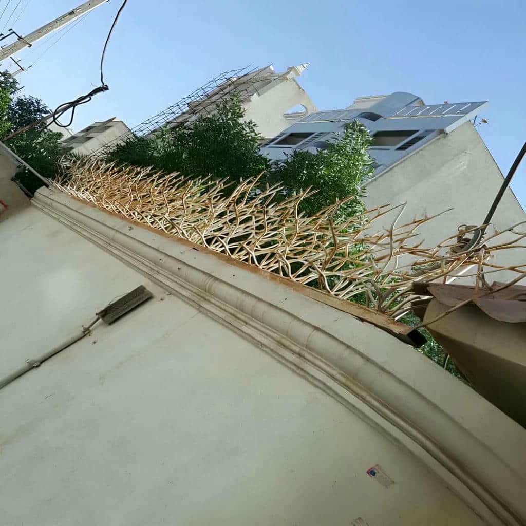 حفاظ سرنیزه ای بر فراز دیوار سنگی مسکونی